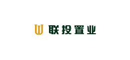联投置业